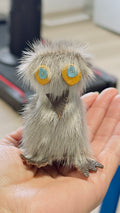 Mini Ookpik Keychains